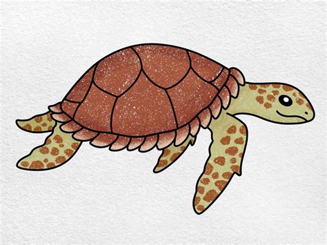 turtle images drawing|Turtle Drawing Images – Browse 130,582 Stock Photos, Vectors, .